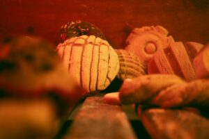 mexican pan dulce sweet breads